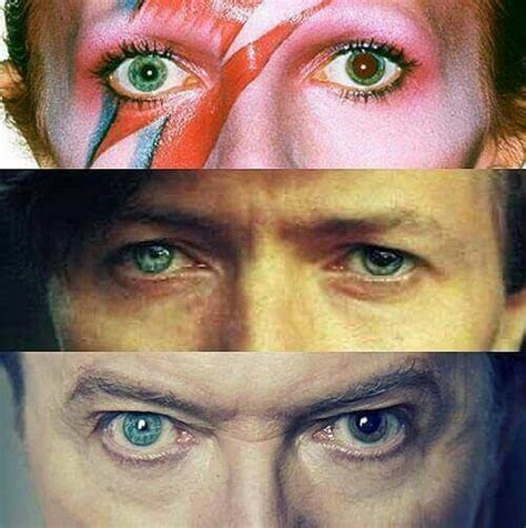 He shares the same birthday as elvis. heroes di david bowie - Don't Call Me Fashion Blogger!