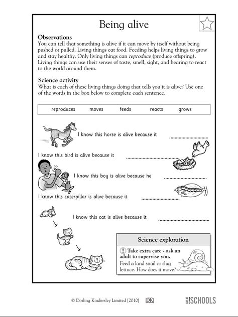We did not find results for: Download Science Worksheets For Grade 1 Animals Pdf Pics ...