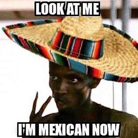 21 Cinco De Mayo Memes To Accompany Your Marg Funny Gallery Ebaums