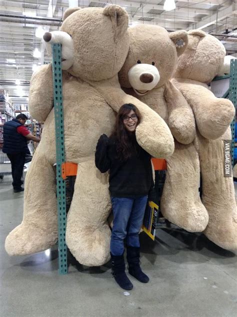 Costco Is Going Too Far Huge Teddy Bears Panda Teddy Bear Giant Teddy