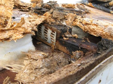 How to repair a ceiling leak. Roofing Inspection why???? - Advanced Aerial Operations, LLC