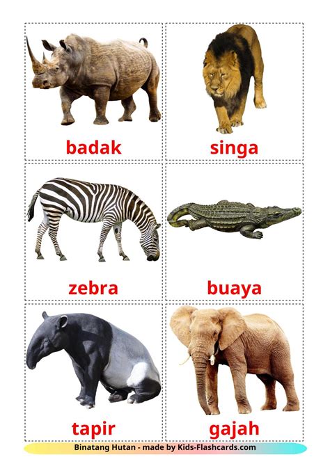 Flashcard Alphabet Binatang Hewan Flash Card Nama Binatang Sesuai Riset
