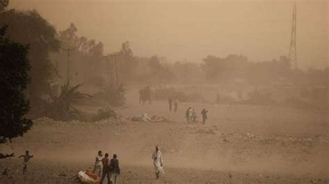7 killed in rajasthan dust storm indiatv news india tv