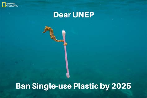 Ban Single Use Plastic By 2025 Petitiononlineuk