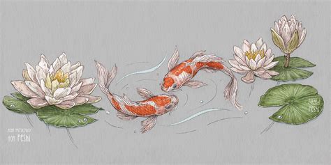Koi Fish Illustrations Behance