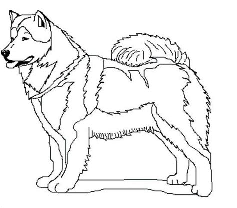 Search through 623,989 free printable colorings at getcolorings. Pin by Jarrod Coomer on Iditarod - Winter 2015/2016 | Dog ...