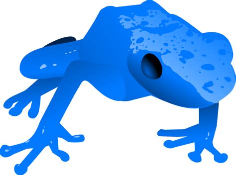 Endangered Blue Poison Dart Frog Clip Art At Vector Clip