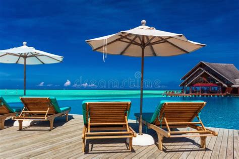 Deck Chairs Under Palm Trees On A Tropical Beach Stock Image Image Of