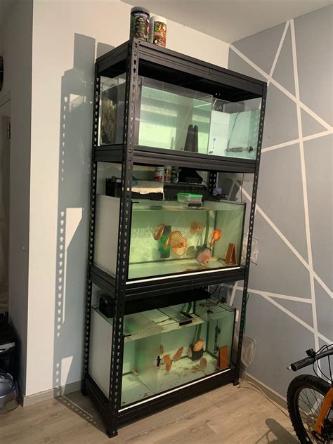 Shelves And Fish Tank Furniture And Home Living Furniture Shelves