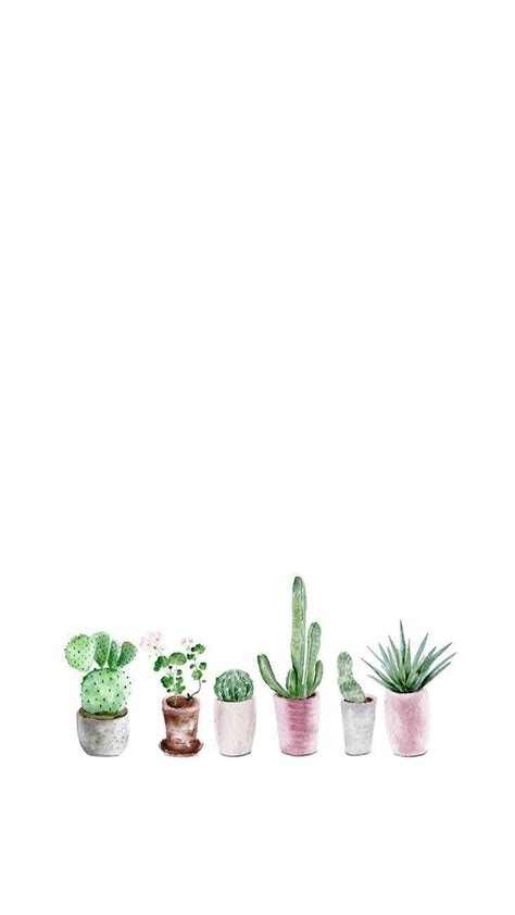 Minimalist Cactus Wallpapers Top Free Minimalist Cactus Backgrounds