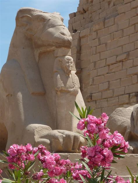 Épinglé Par Viviane Viardet Sur Egypte Louxor Égypte Egypte Pharaon
