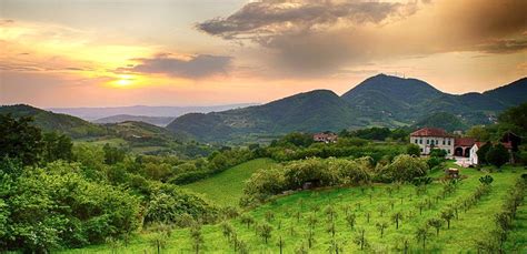 Raccontiamo I Colli Euganei La Rubrica Di Strada Del Vino Colli