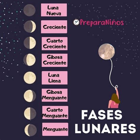 Las Fases De La Luna Para Niños De Primaria Preparaniñ