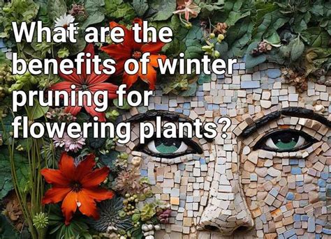 What Are The Benefits Of Winter Pruning For Flowering Plants