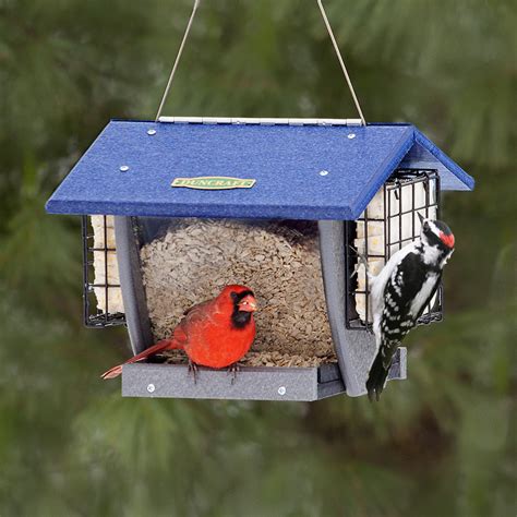 Cardinal Hopper And Suet Bird Feeder