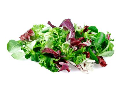Mixed Salad Greens The Fresh Supply Company