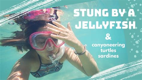 Stung By A Jellyfish And Canyoneering Youtube