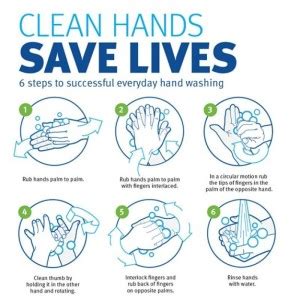 Home downloads faqs vaccination resort / safari release list. COVID-19 - ATSILS (QLD)