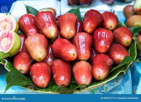 Rose Apple In The Market Fresh Rose Apples Or Thai Name Is Chomphu