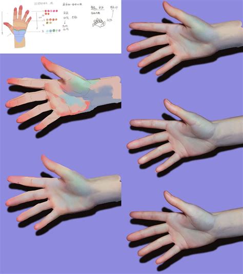 Hand Skin Tones Digital Painting Tutorials Skin Color Palette