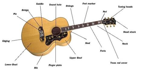 We did not find results for: guitarmake: More Anatomy and Construction Overview