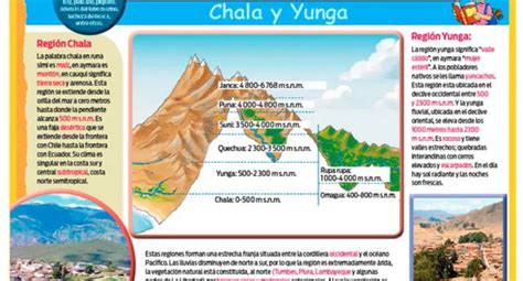 Las Ocho Regiones Naturales Del Perú Chala Y Yunga El Popular