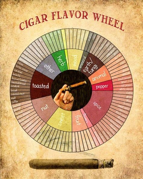 Cigar Flavor Wheel Cigar Room Poster Aesthetic Wall Decor