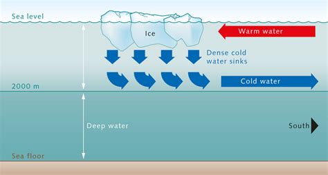 Science Explained Why Does Hot Water Freeze Faster Than Cold Water