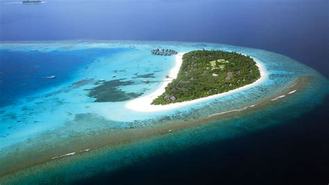 Coco Palm Dhuni Kolhu Maldives Caribtours Luxury Holidays