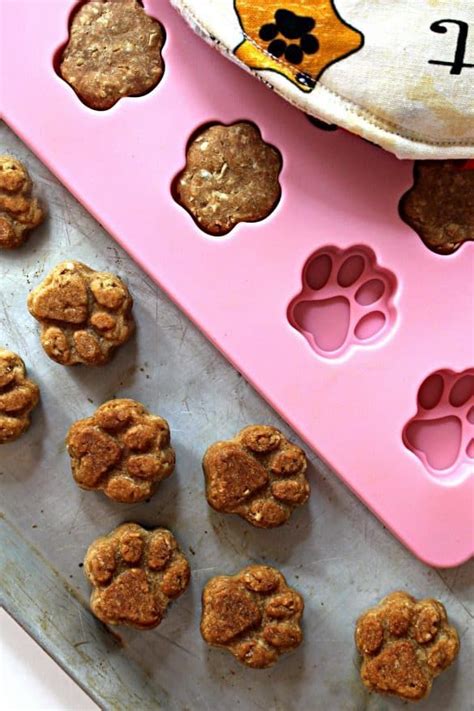 Homemade Dog Food Treats And Recipes Vet Approved Your Pupll Love