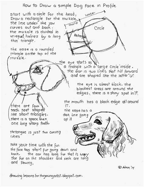 It offers a closer look at drawing animal eyes and whiskers among other features of your feline friends. How To Draw A Simple Dog Face In Profile - Bloglovin ...
