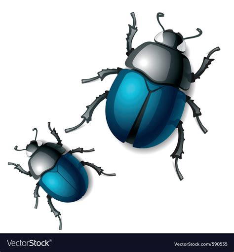 Beetle Royalty Free Vector Image Vectorstock