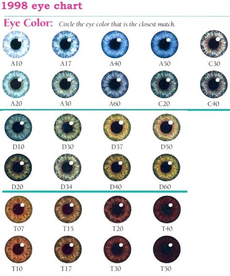 Eye Color Chart Eyes Eyecolors Augenfarbe Tabelle Augen Farbe
