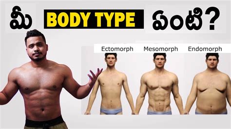 Types Of Men Body In Telugu Body Type Workouts In Telugu Ectomorph