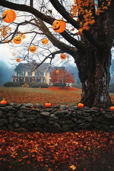 Pin By Miss Beach On Home Sweet Home Fall Halloween Autumn Cozy