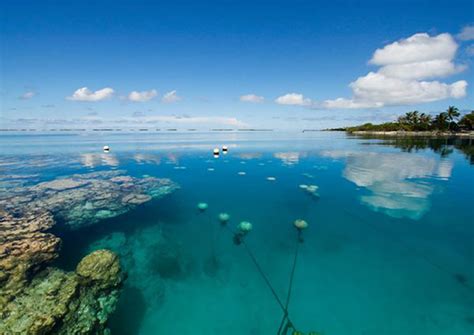 Pearl News Sept. 13: Tahitian Pearl Farms Edition - Pure Pearls