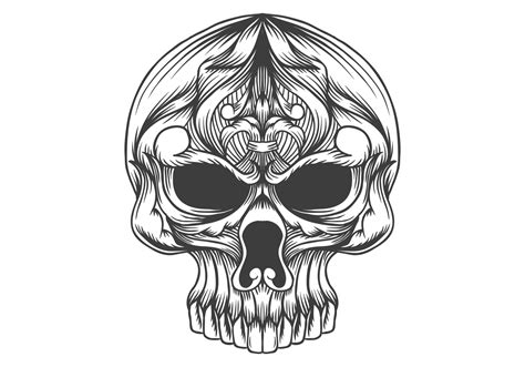 Skull Head Decoration Vector Illustration Download Free