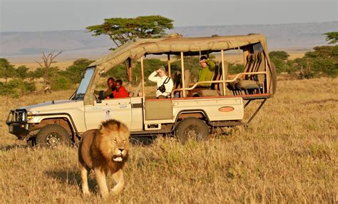 Kenya Conservation Themed Safari Manchester Evening News