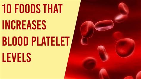 Top 10 Foods To Increase Your Blood Platelets Count Fast Youtube