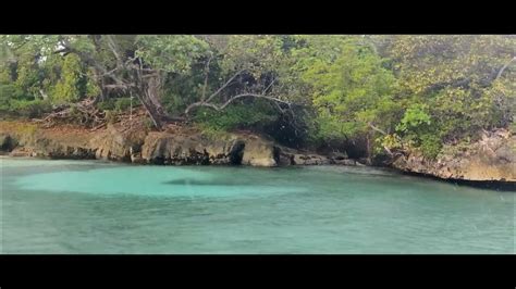 vlog 128 the beautiful winifred beach 🏖️ portland jamaica youtube