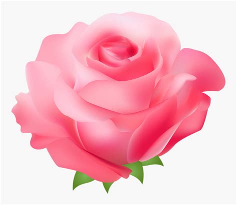 Rose Pink Free Clip Art Pink Rose Png Clipart Transparent Png Kindpng