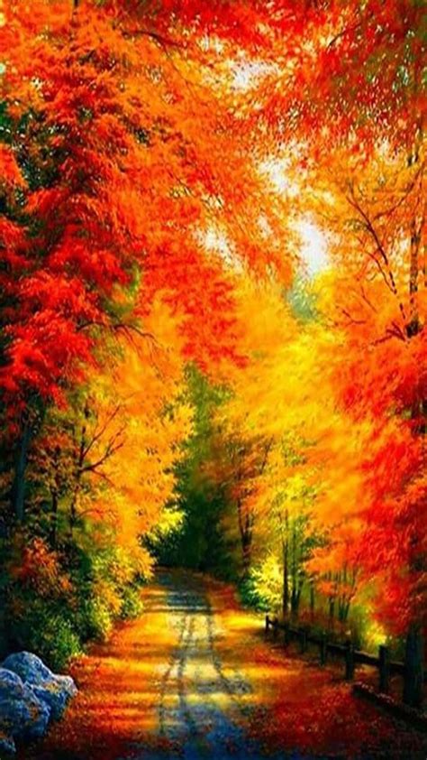 Pretty Fall Colors Cenas De Outono Imagens Natureza Lindas Paisagens