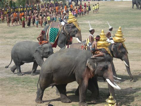 Surin Elephant Festival Renegade Travels