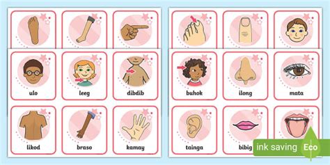 Mga Bahagi Ng Katawan Flashcards Preschool Twinkl