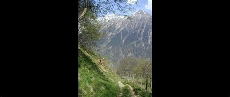 Visite des 2 sites tessinois classés à l'unesco (monte san giorgio et les châteaux de. Le Tessin, une Suisse au goût d'Italie - Le webzine des ...