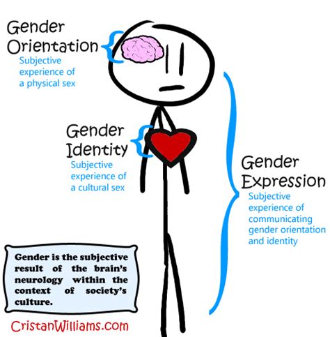 Gender Orientation Intersex Conditions Within The Transsexual Brain
