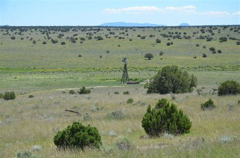 East West Ranch Quemado Catron County New Mexico