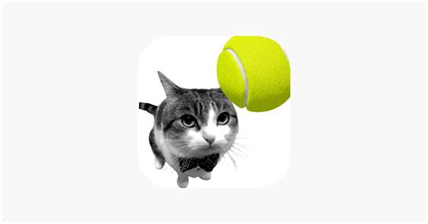‎cat Tennis Meme Game On The App Store