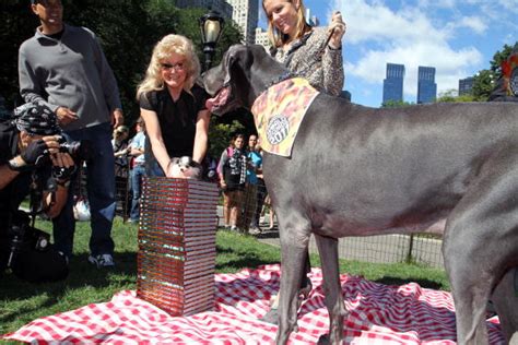 Giant George Once The Worlds Tallest Dog Has Died