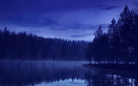 Landscape Blue Water Forest Evening Reflection Wallpaper 107506